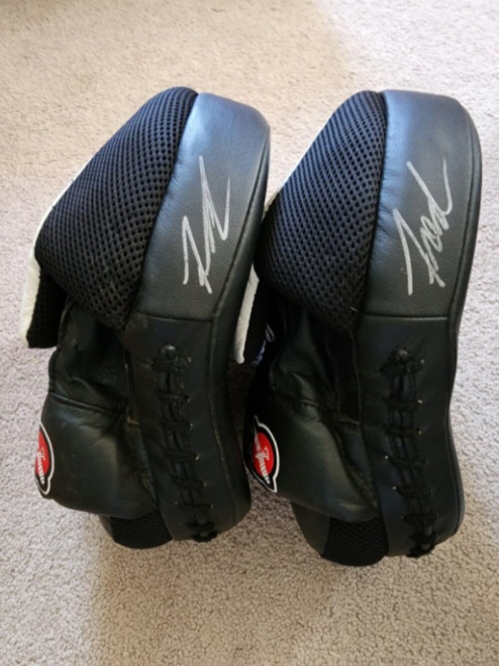 HAYABUSA PTS3 Focus Mitts Striking Pads Punching Black White Excellent Condition